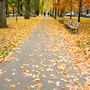 Portland
