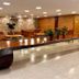 Receptionist