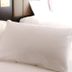 Hotelfacilitet