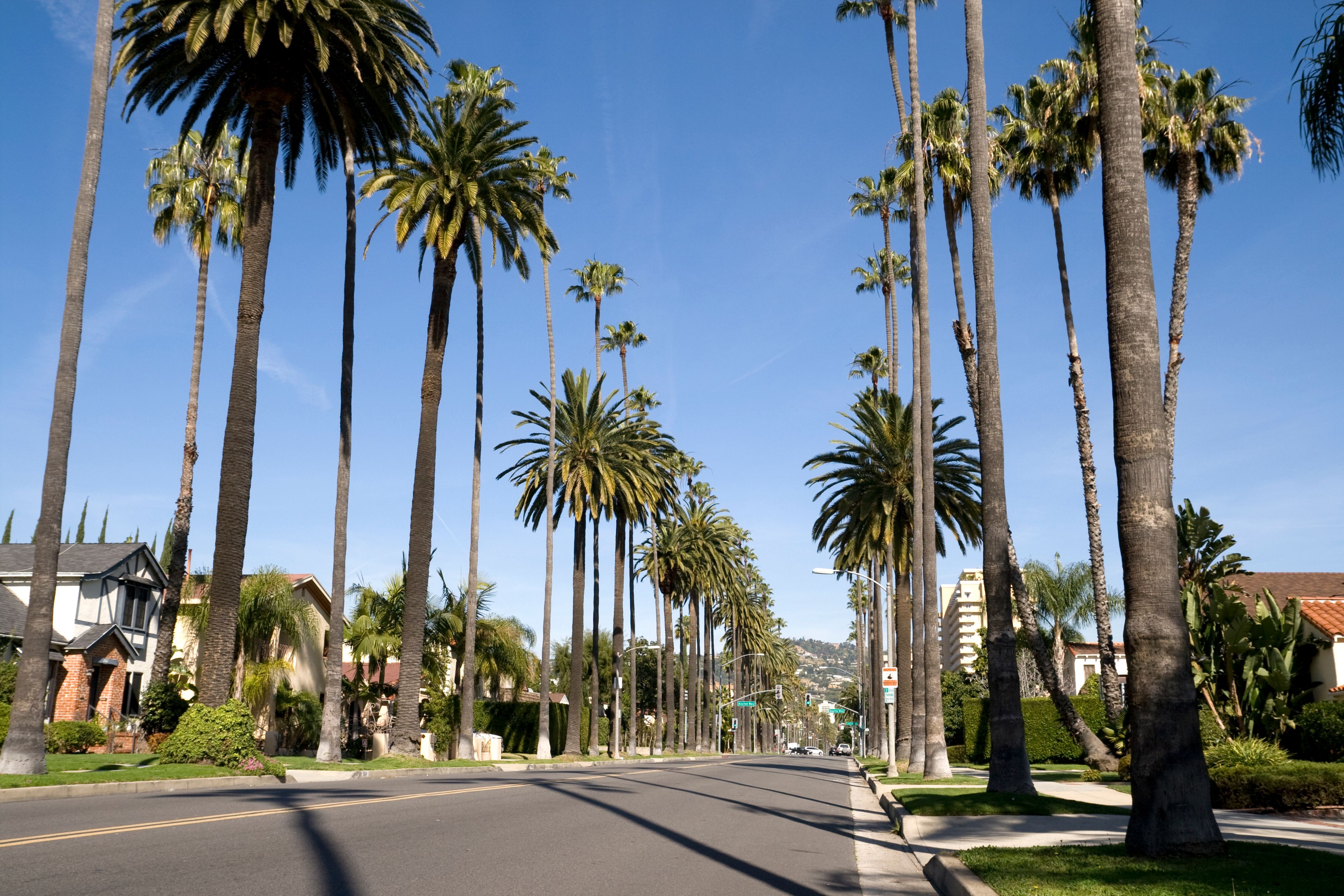 Biludlejning i Beverly Hills