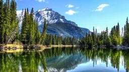 Find billige flybilletter til Alberta