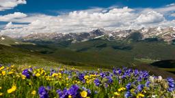 Breckenridge Hoteller