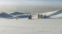 Hoteller i West Yellowstone