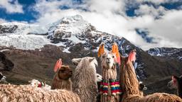 Cuzco Hoteller