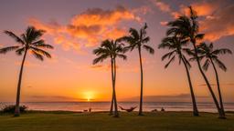 Find billige flybilletter til Honolulu