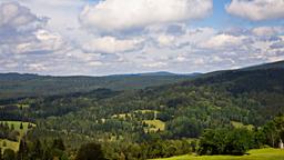 Ferieboliger i Bayerske Skov