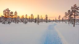 Ferieboliger i Lapland