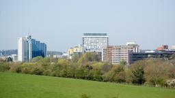 Biludlejning i Basingstoke