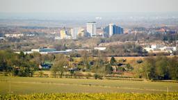 Biludlejning i Basingstoke