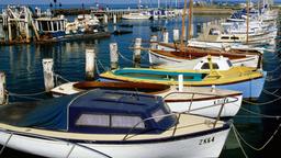 Hoteller i Queenscliff
