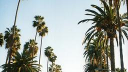 Hoteller i West Hollywood