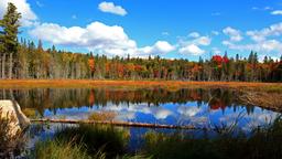 Ferieboliger i Muskoka, Parry Sound and Algonquin Park