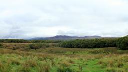Loch Lomond hoteller