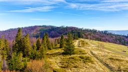 Biludlejning i Pyrzowice