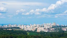 Biludlejning i Ribeirão Preto