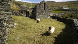 Ferieboliger i Dingle Peninsula