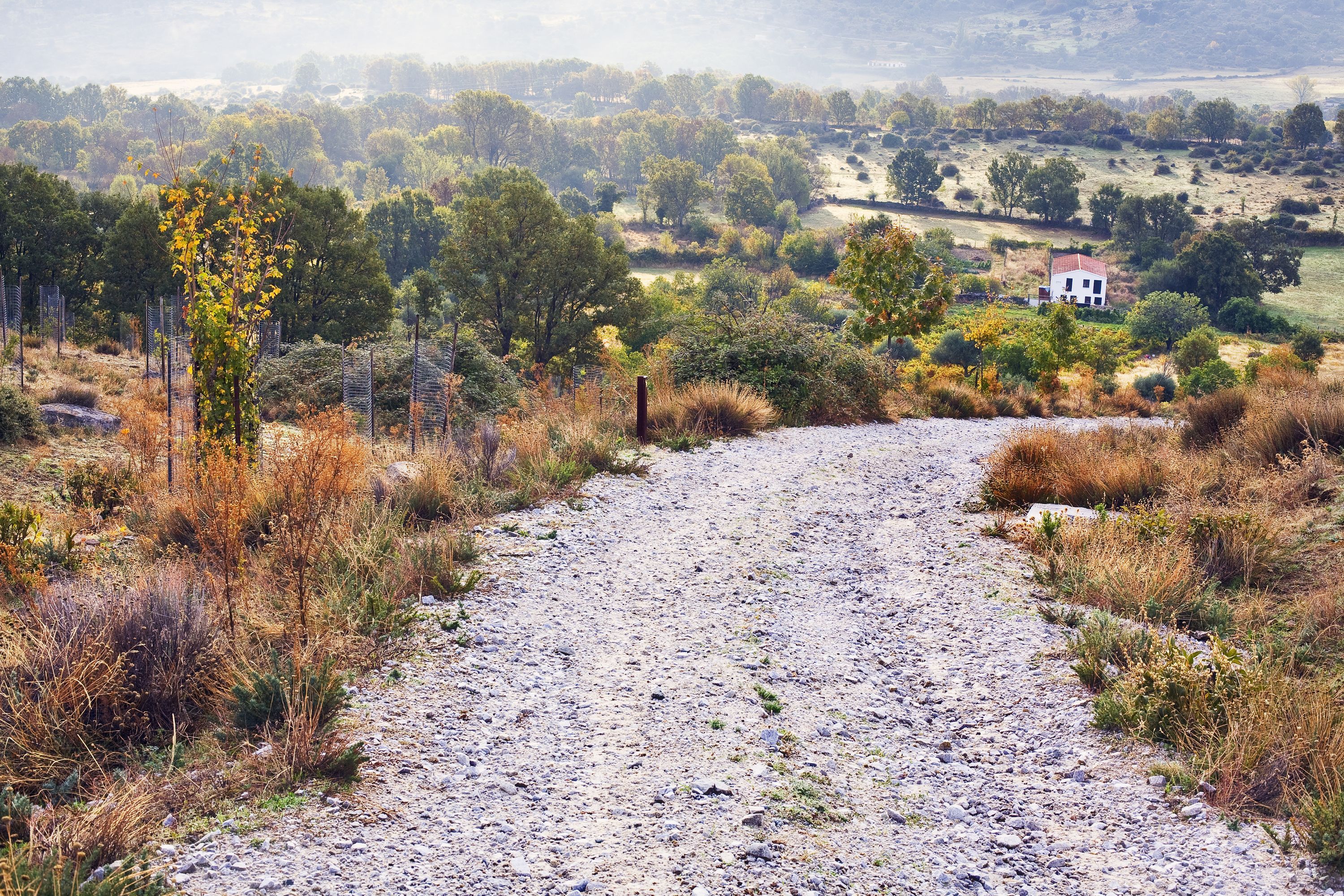 Biludlejning i Las Rozas