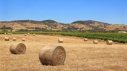 Ferieboliger i Barossa Valley