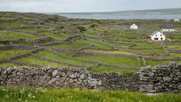 Aranøerne hoteller