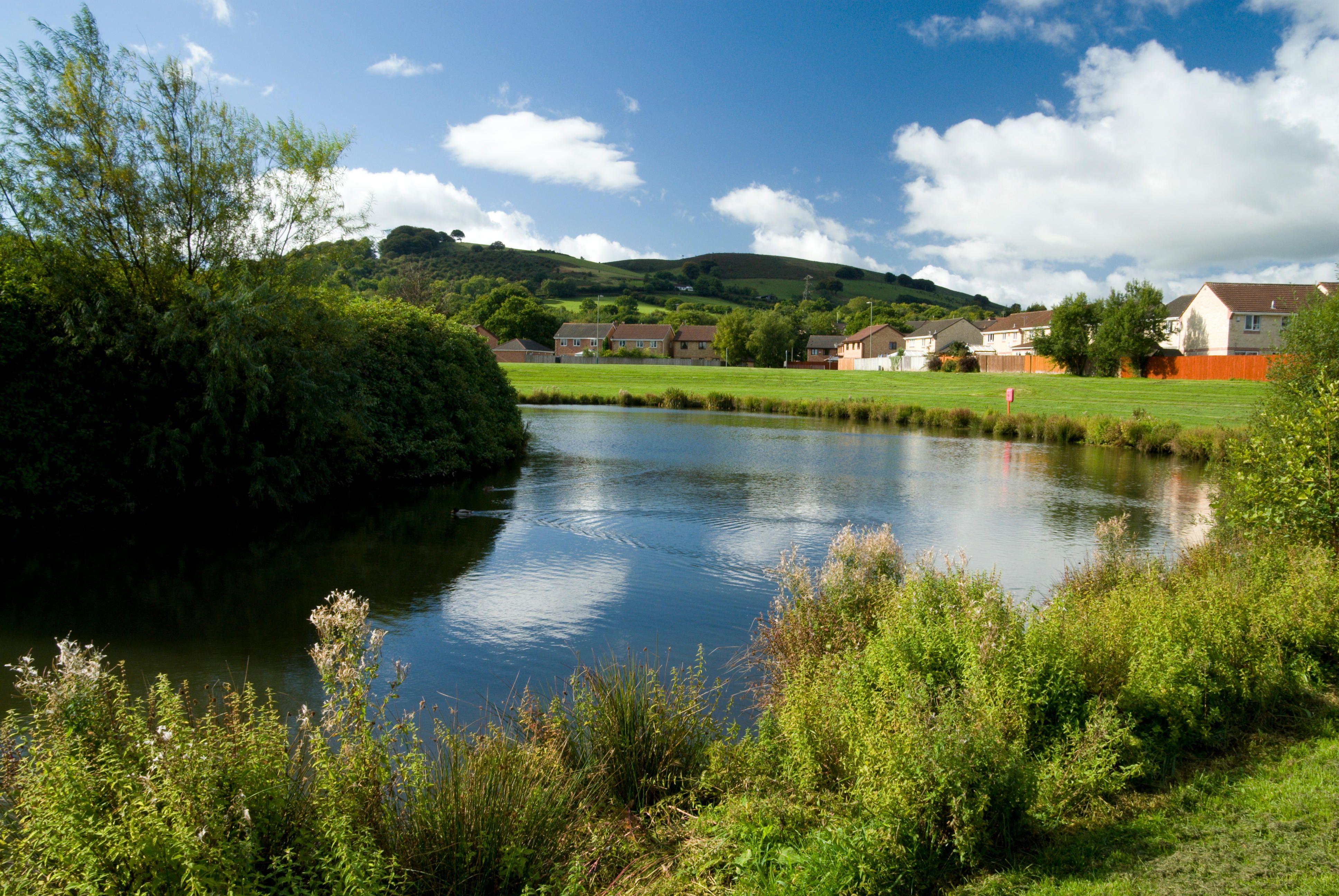 Biludlejning i Watford