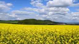 Ferieboliger i Eifel