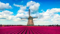 Holland hoteller