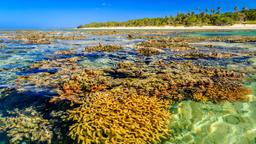 Ferieboliger i Viti Levu Island