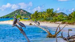 Grenada hoteller