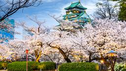 Hoteller i nærheden af Lufthavn: Osaka Kansai Intl