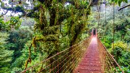 Arenal Volcano nationalpark hoteller