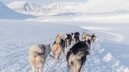 Hoteller i nærheden af Lufthavn: Longyear-byen Svalbard