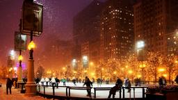 Chicago Hoteller
