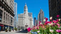 Hoteller i Chicago i nærheden af Rush and Division Streets