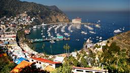 Ferieboliger i Santa Catalina Island