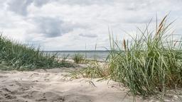 Biludlejning i Heide