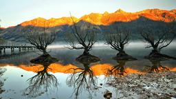 Ferieboliger i Lake Wakatipu