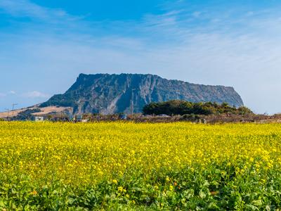 Jeju City