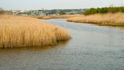 Hoteller i Secaucus