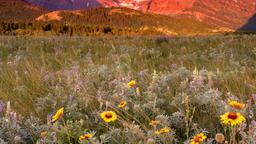 Glacier National Park hoteller
