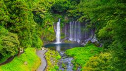 Biludlejning i Shizuoka