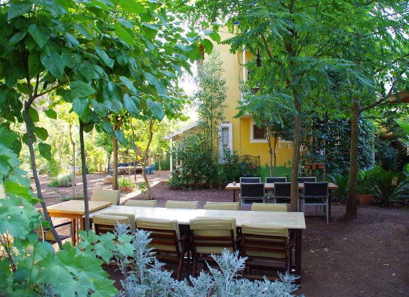 Patio Billede