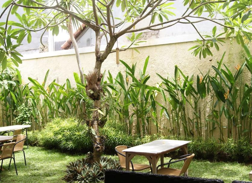 Patio Billede