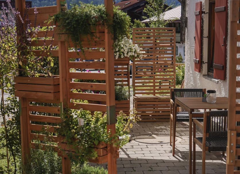 Patio Billede