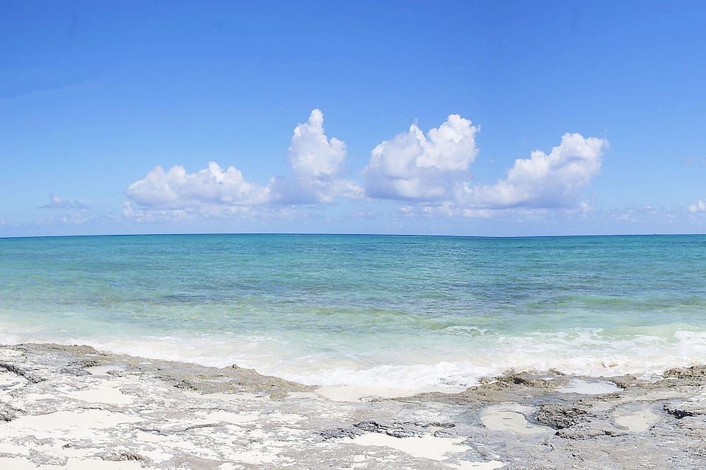 Strand Billede