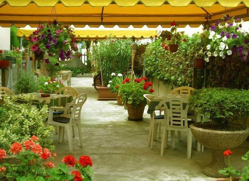 Patio Billede