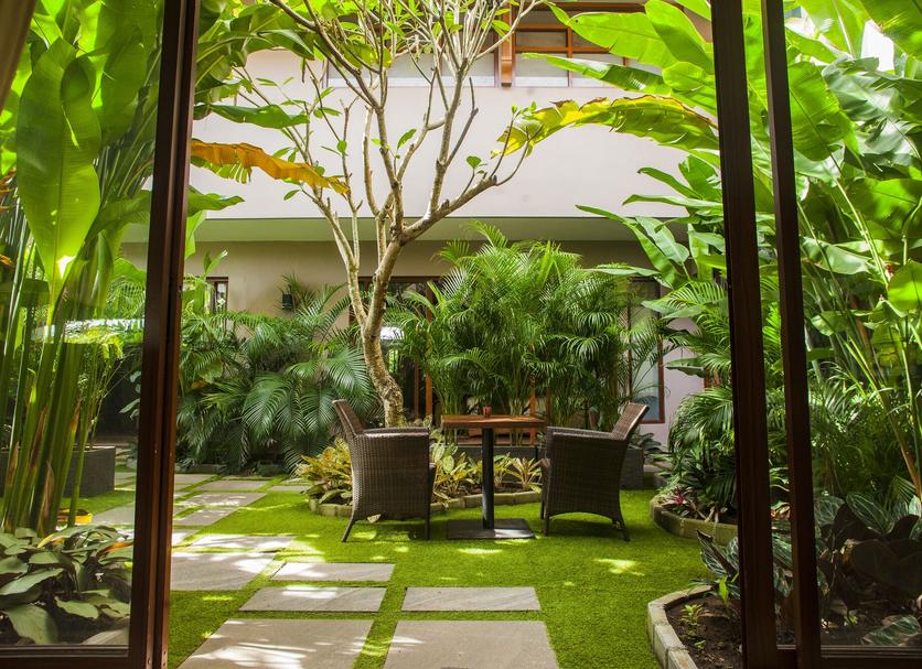 Patio Billede