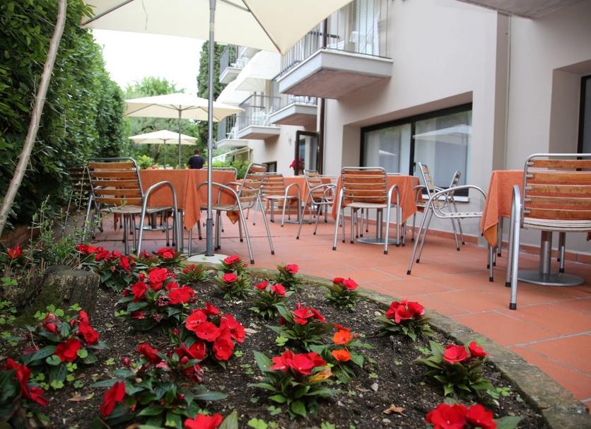 Patio Billede