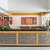Receptionist