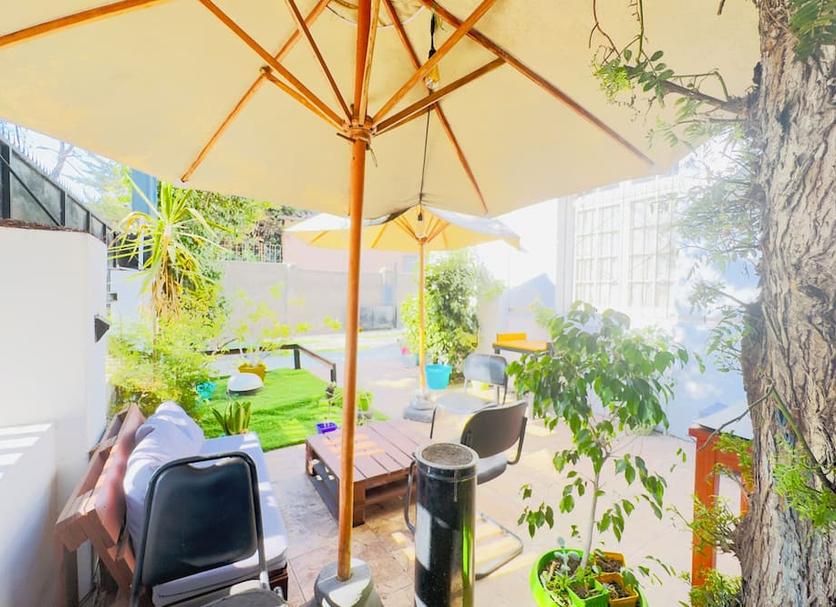 Patio Billede