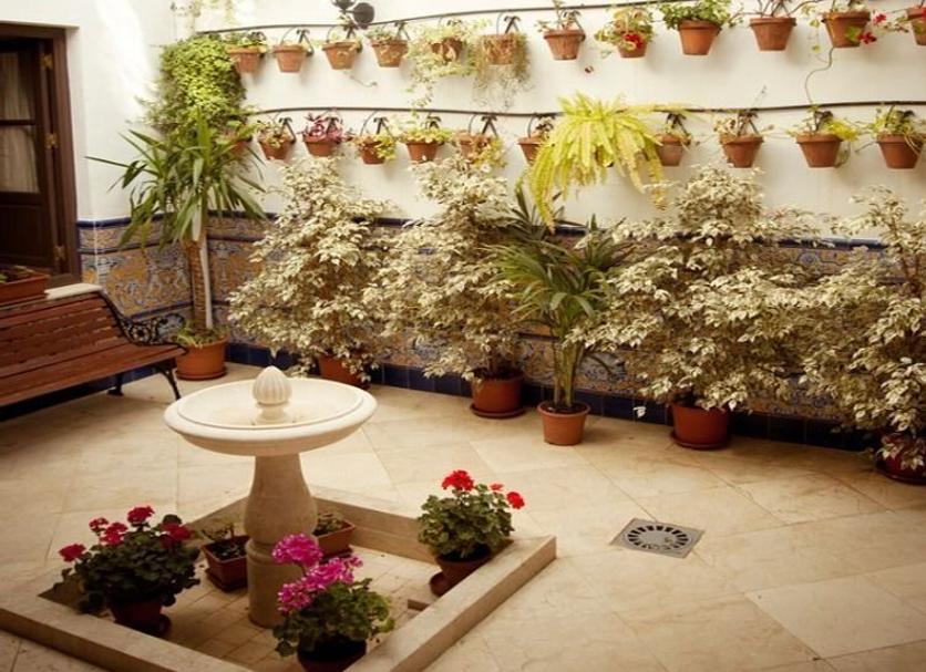 Patio Billede